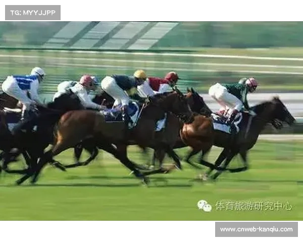 体育决策咨询机制吸纳多元主体 提升系统规划科学性